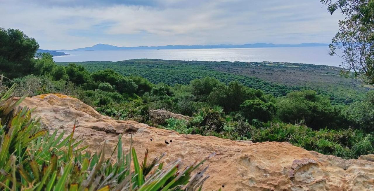 Exclusivo Zahara Urb Bahia De La Plata Διαμέρισμα Zahara de los Atunes Εξωτερικό φωτογραφία